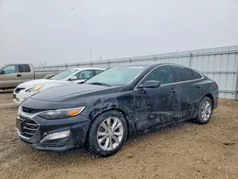2019 Chevrolet Malibu 1G1ZD5ST7KF157114 Lot 45728686