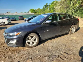 2023 Chevrolet Malibu 1G1ZD5ST6PF160612 Lot 51138556