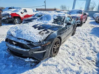 2019 Ford Mustang 1FATP8UH0K5181930 Lot 98045005