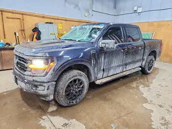 2025 Ford F-150 1FTEW3LP4SKE98404 Lot 45465146