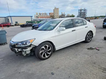 2016 Honda Accord 1HGCR2F81GA130516 Lot 50430496