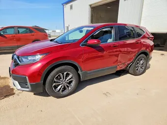 2021 Honda CR-V 5J6RW2H82ML009891 Lot 50753896