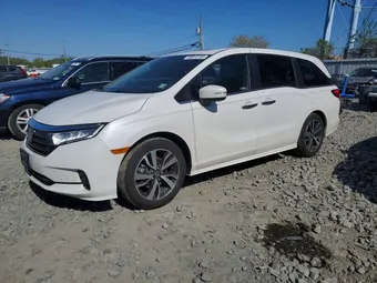 2024 Honda Odyssey 5FNRL6H86RB024278 Lot 50812766