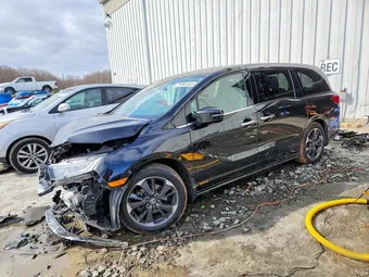 2024 Honda Odyssey 5FNRL6H96RB002578 Lot 76865355