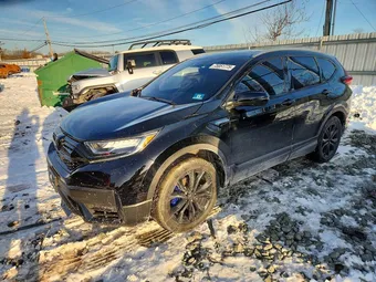 2020 Honda CR-V 7FART6H99LE026112 Lot 75851775
