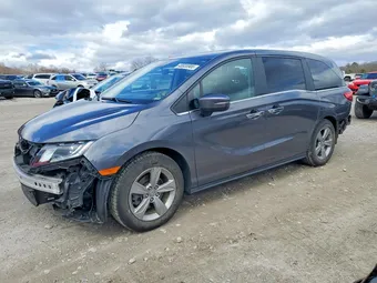 2019 Honda Odyssey 5FNRL6H78KB105411 Lot 48938906