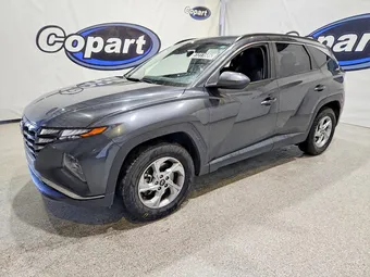 2024 Hyundai Tucson 5NMJBCDE4RH298488 Lot 51311686