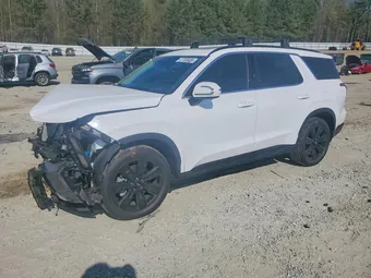2025 Hyundai Palisade KM8R34GE4SU902052 Lot 47700036