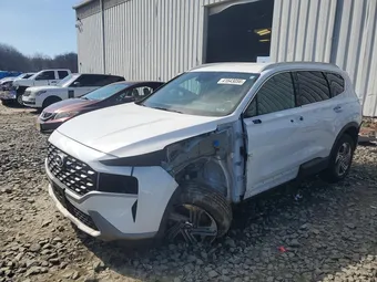 2023 Hyundai Santa Fe 5NMS2DAJ1PH638933 Lot 41643056