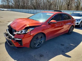 2019 Kia Forte 3KPF54AD4KE068381 Lot 47245876