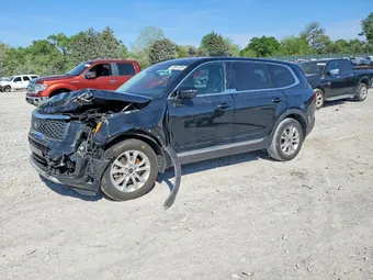 2020 Kia Telluride 5XYP24HC7LG059558 Lot 49867266