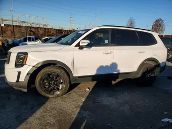 2022 Kia Telluride 5XYP3DHC5NG274856 Lot 73666655