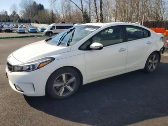 2018 Kia Forte 3KPFL4A73JE266142 Lot 45968666