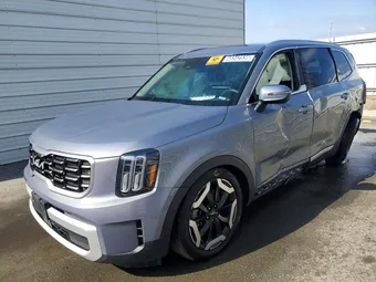 2025 Kia Telluride 5XYP6DGC1SG574351 Lot 48342536