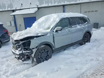 2022 Kia Telluride 5XYP5DHCXNG217918 Lot 99424955