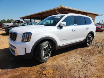 2025 Kia Telluride 5XYP64GC5SG676171 Lot 84908775