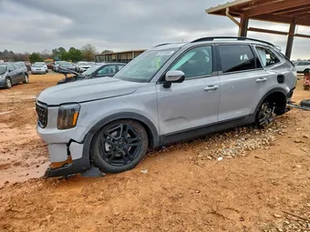 2025 Kia Telluride 5XYP3DGC0SG608630 Lot 95123365