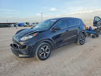 2020 Kia Sportage KNDPM3AC0L7736865 Lot 48793976