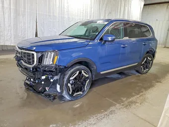 2025 Kia Telluride 5XYP6DGC4SG652668 Lot 51473716