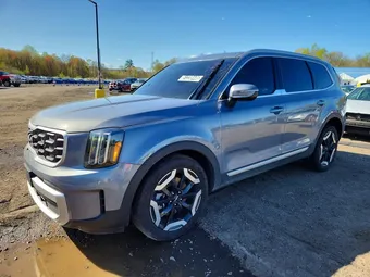 2025 Kia Telluride 5XYP6DGC1SG636752 Lot 51338446