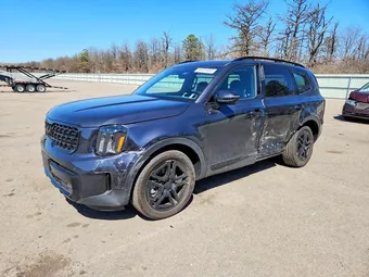 2025 Kia Telluride 5XYP5DGC3SG655872 Lot 49251926