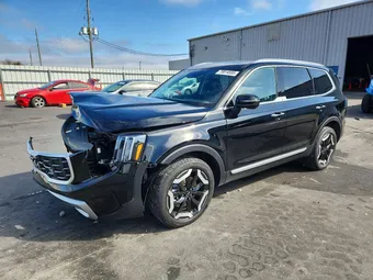 2025 Kia Telluride 5XYP64GC5SG734702 Lot 79814555