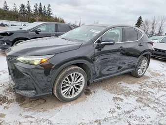 2023 Lexus NX 350 2T2GGCEZ2PC018546 Lot 99167285