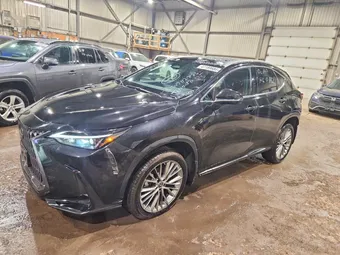 2023 Lexus NX 350 2T2GGCEZXPC031335 Lot 47189686
