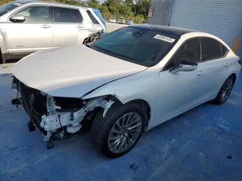 2019 Lexus ES 350 58ABZ1B11KU026374 Lot 48984145