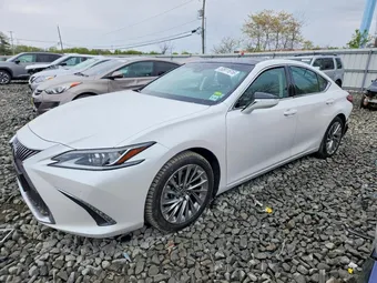 2019 Lexus ES 350 58ABZ1B19KU021200 Lot 50911616