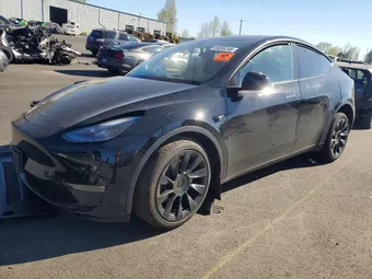 2023 Tesla Model Y 7SAYGDEE1PF643059 Lot 49055246