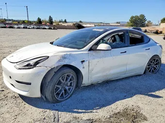 2023 Tesla Model 3 5YJ3E1EA5PF549954 Lot 42022656