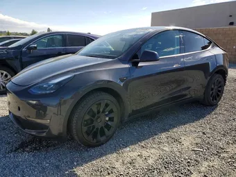 2024 Tesla Model Y 7SAYGDEE8RF081616 Lot 51201046