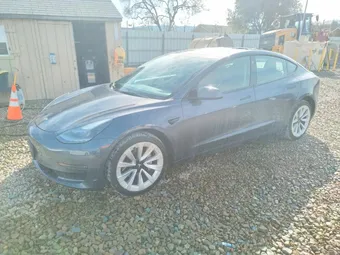 2023 Tesla Model 3 5YJ3E1EA4PF456617 Lot 75431465
