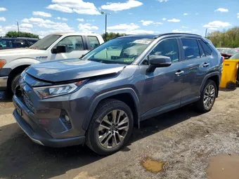 2019 Toyota RAV4 JTMN1RFV0KD504117 Lot 51817286
