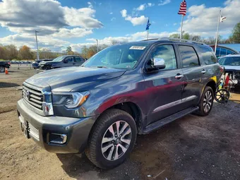 2019 Toyota Sequoia 5TDJY5G13KS165582