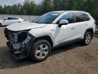 2019 Toyota RAV4 2T3BWRFV4KW039221 Lot 64175715