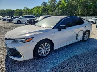 2020 Toyota Camry 4T1C11AK6LU342741 Lot 50577396