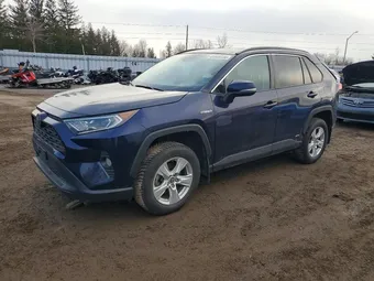 2021 Toyota RAV4 2T3RWRFV4MW115487 Lot 41939736
