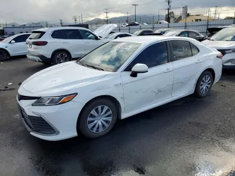 2021 Toyota Camry 4T1C31AK9MU554335 Lot 48548876