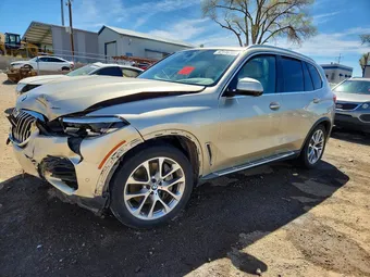 2019 BMW X5 5UXJU2C59KLN66136 Lot 47116766