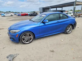 2016 BMW 2 Series WBA1G9C56GV598892 Lot 51130956
