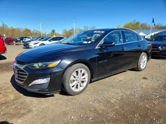 2023 Chevrolet Malibu 1G1ZD5ST3PF187444 Lot 51338776