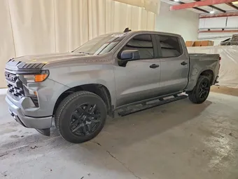 2025 Chevrolet Silverado 1500 1GCPKBEK2SZ258226 Lot 48507626