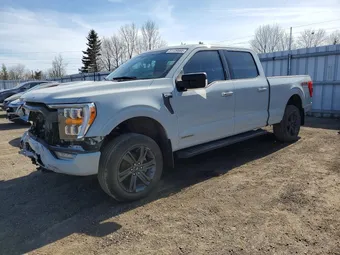2023 Ford F-150 1FTFW1ED4PFA67539 Lot 51128566