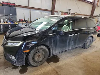 2019 Honda Odyssey 5FNRL6H86KB514239 Lot 47877956