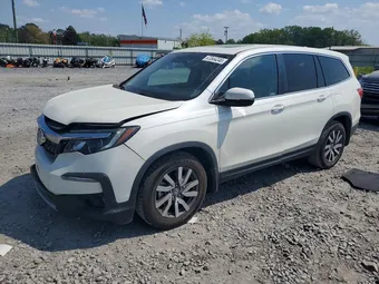2019 Honda Pilot 5FNYF5H51KB023869 Lot 47544046