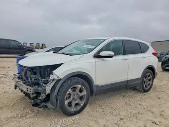 2019 Honda CR-V 7FARW2H51KE024351 Lot 42041326
