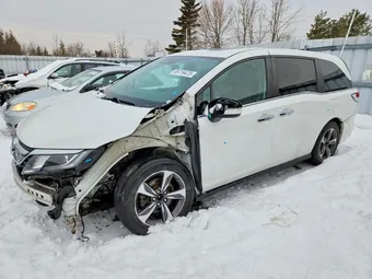 2020 Honda Odyssey 5FNRL6H64LB505541 Lot 99719475