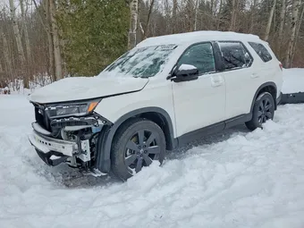 2025 Honda Pilot 5FNYG1H98SB508373 Lot 75069925